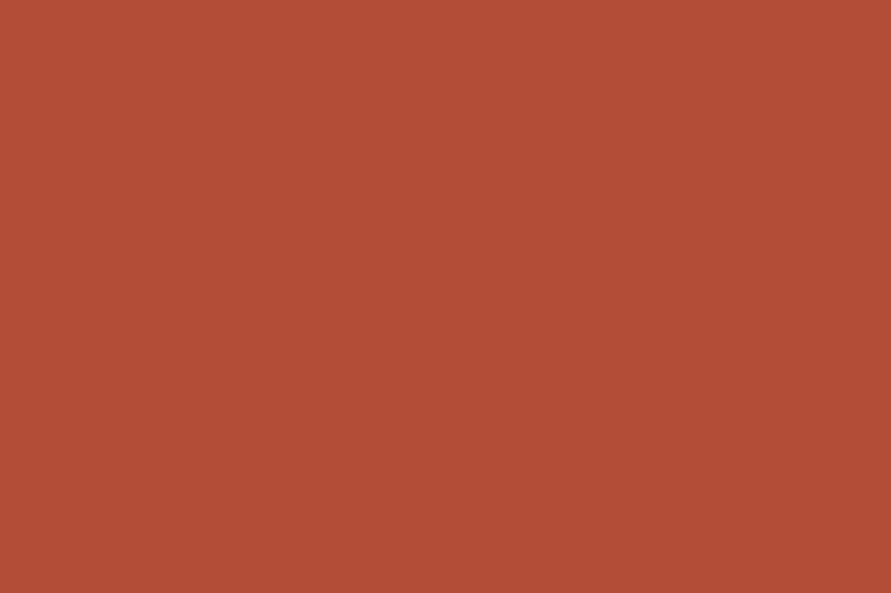Burnt Orange paint colour